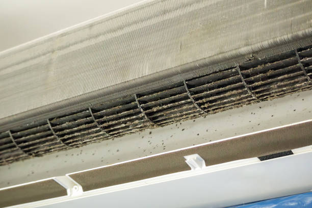 Best Commercial HVAC Duct Cleaning  in Frederick, CO